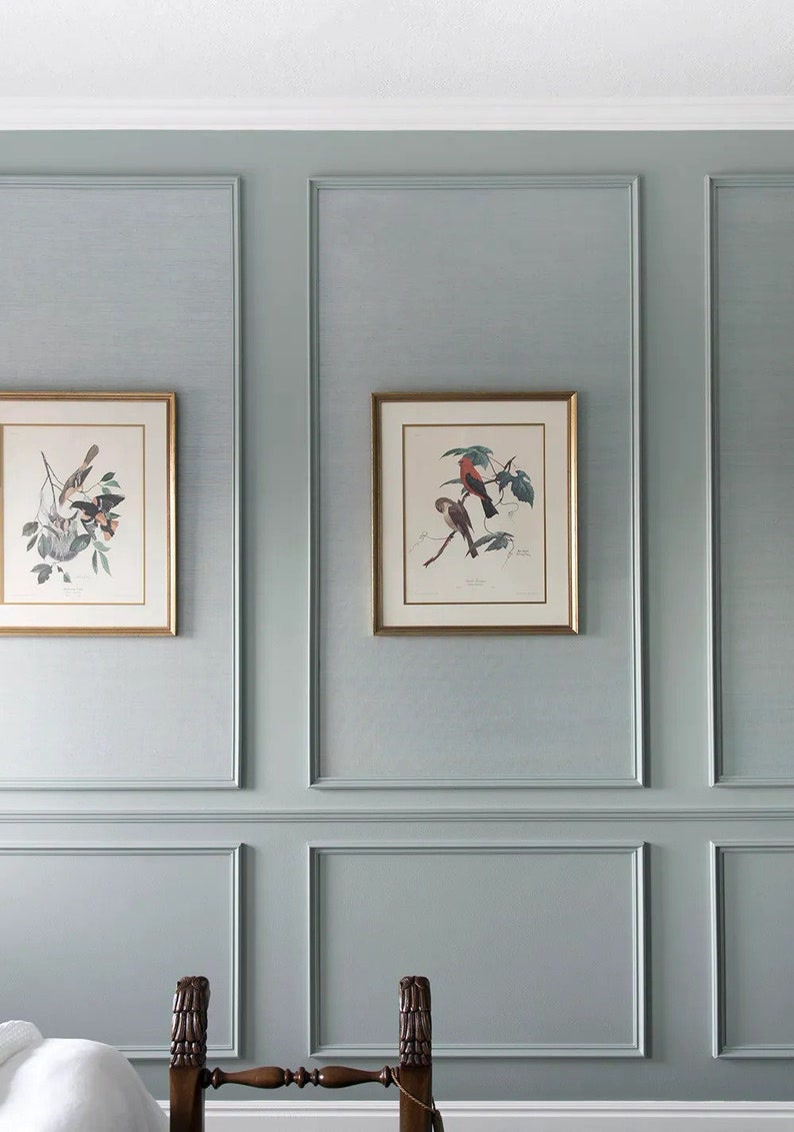 Duck-Egg Blue Wall Wainscoting with Bird Art