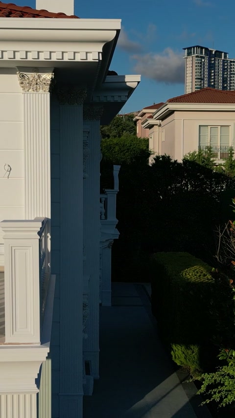 Une pilastre cannelée haute et un chapiteau orné accentuent un coin de façade